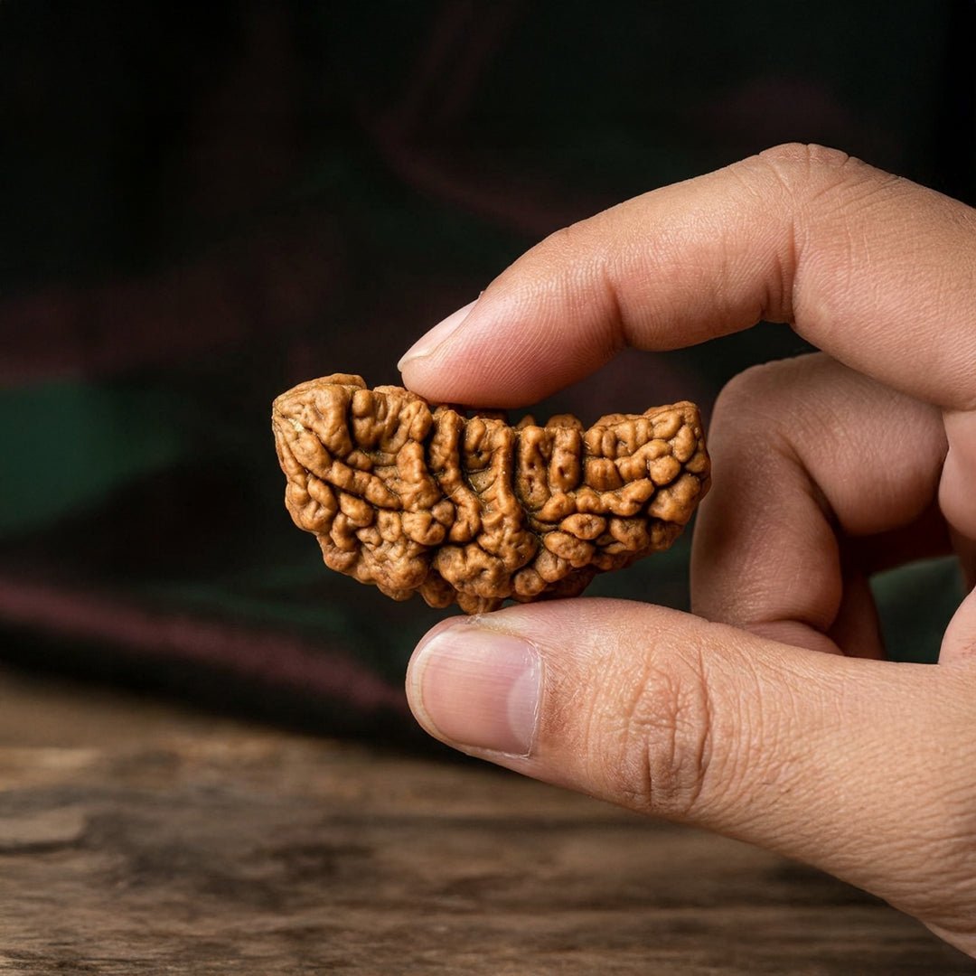 1-mukhi-2