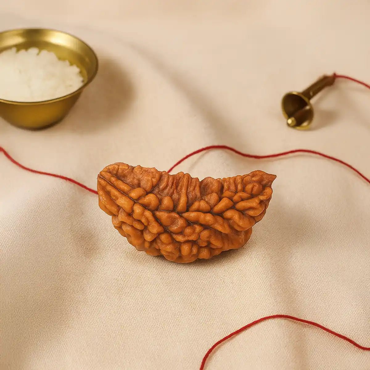 1_Mukhi_Rudraksha_creative
